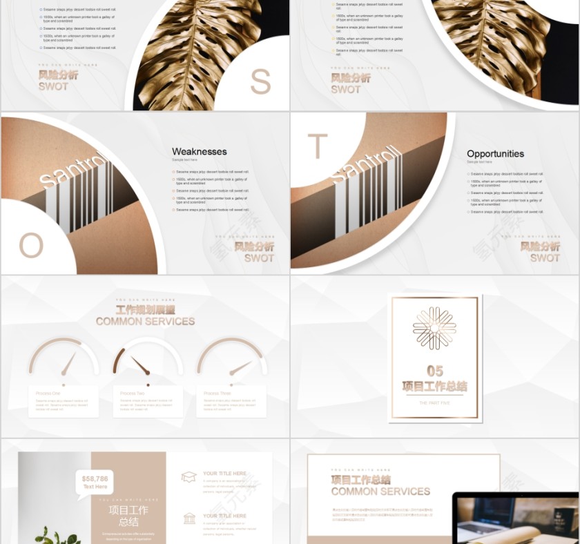 高端项目总结汇报商务报告PPT第5张