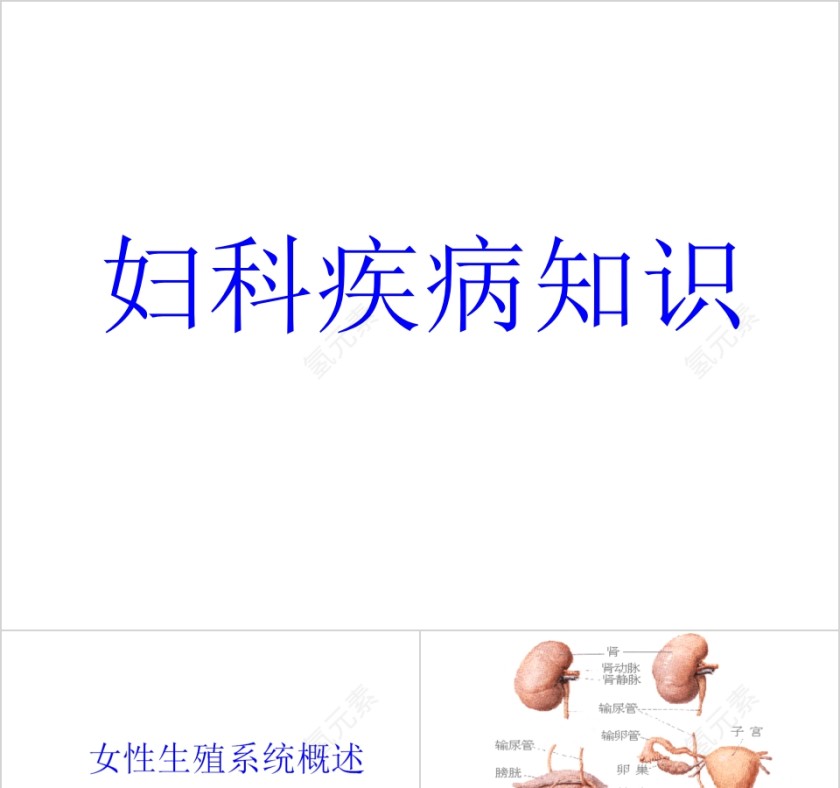 简约妇科疾病知识培训PPT第1张