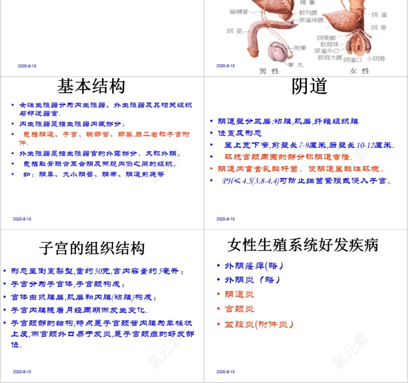简约妇科疾病知识培训PPT第2张