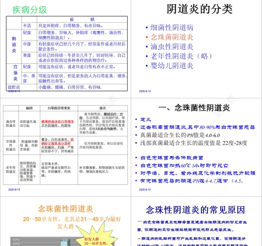 简约妇科疾病知识培训PPT第3张