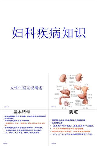 简约妇科疾病知识培训PPT