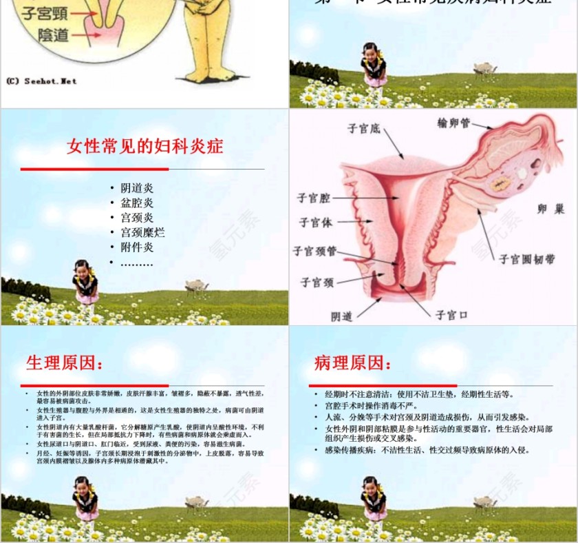 简约清新女性生理与妇科疾病PPT模板第2张