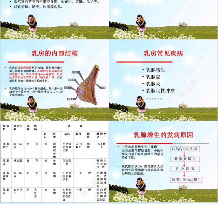 简约清新女性生理与妇科疾病PPT模板第12张