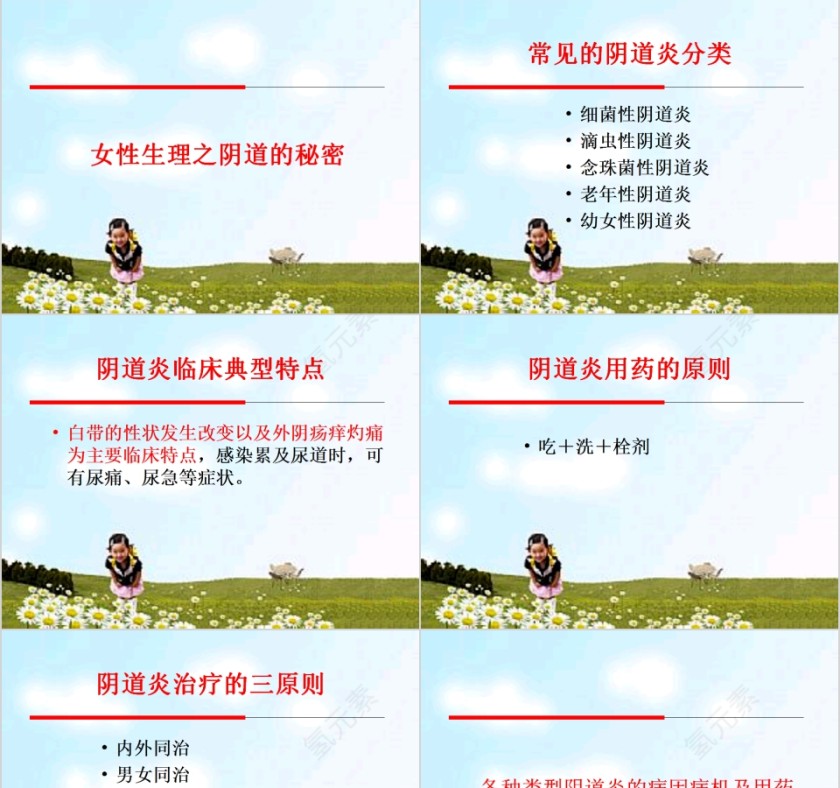 简约清新女性生理与妇科疾病PPT模板第3张