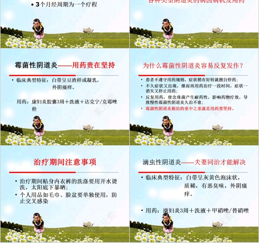 简约清新女性生理与妇科疾病PPT模板第4张