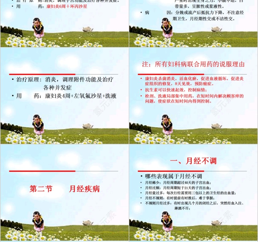 简约清新女性生理与妇科疾病PPT模板第8张