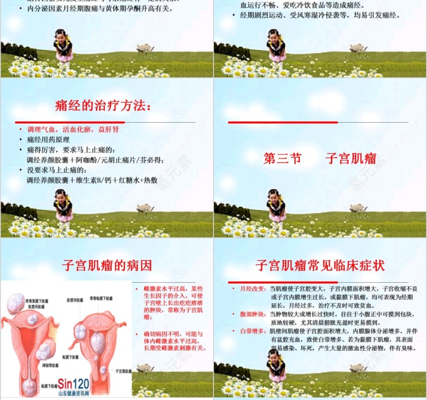 简约清新女性生理与妇科疾病PPT模板第10张