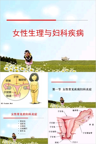 简约清新女性生理与妇科疾病PPT模板