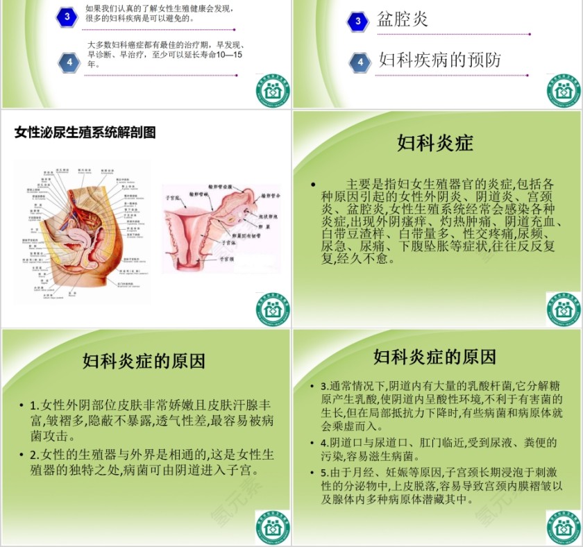 妇科常见疾病的防治知识PPT模板第2张