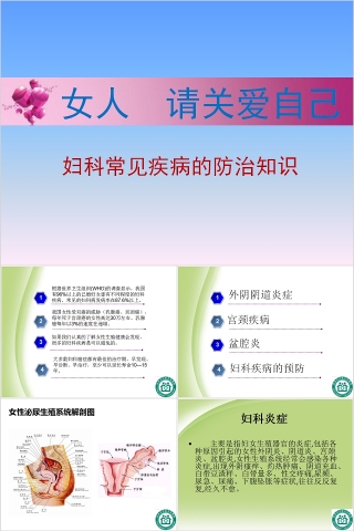 妇科常见疾病的防治知识PPT模板