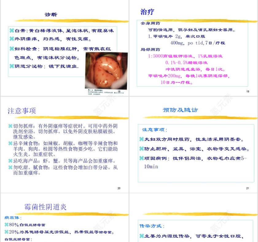 简约清新妇科炎症知识PPT模板第5张