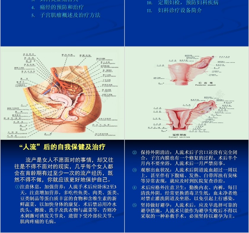 女人有健康家庭更幸福妇科常见疾病知识讲座PPT第2张