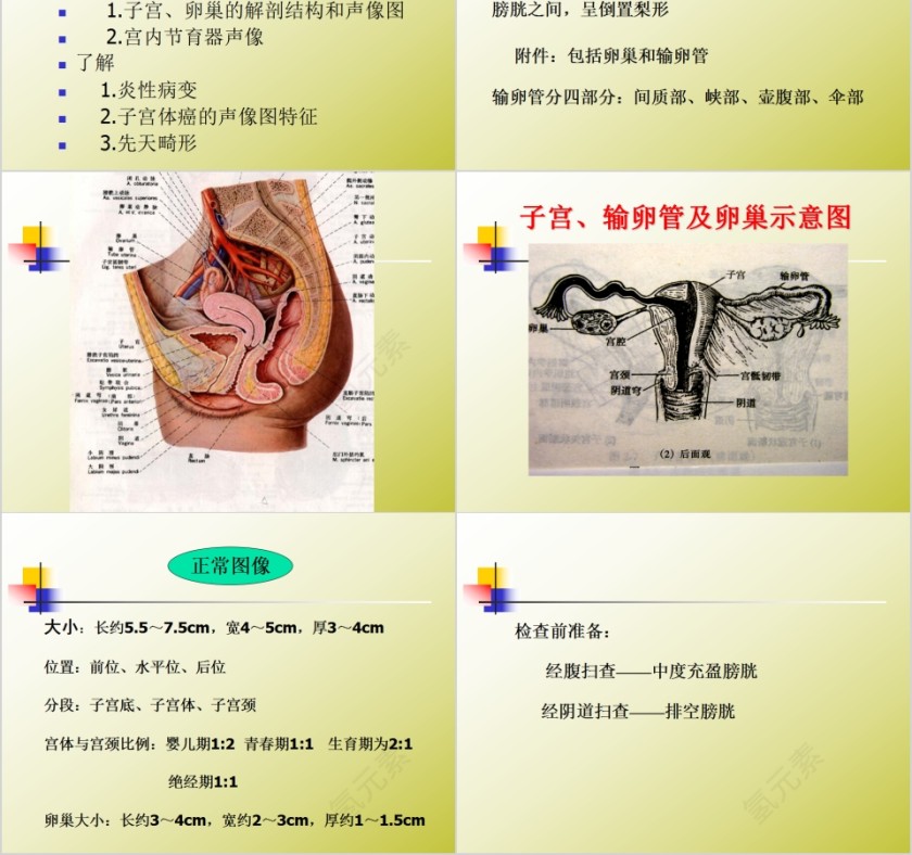 简约清新妇科常见疾病知识PPT模板第2张