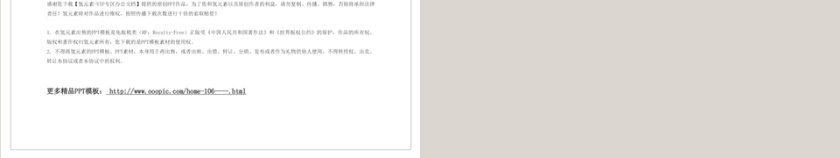 商务风格企业招商项目策划PPT第5张